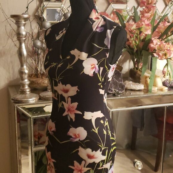TED Baker London Gorgeous Dress Size 1 (XS-S) NWOT - Picture 4 of 8